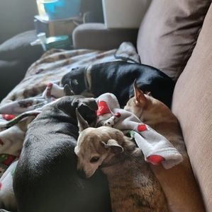 Meet your Posher, Michelle